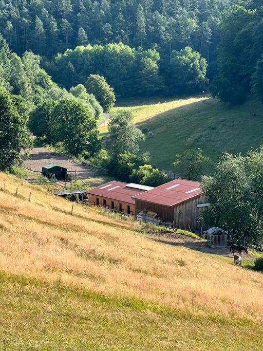 Ferienwohnung Beim Pferdehof Neuenstein  Luaran gambar
