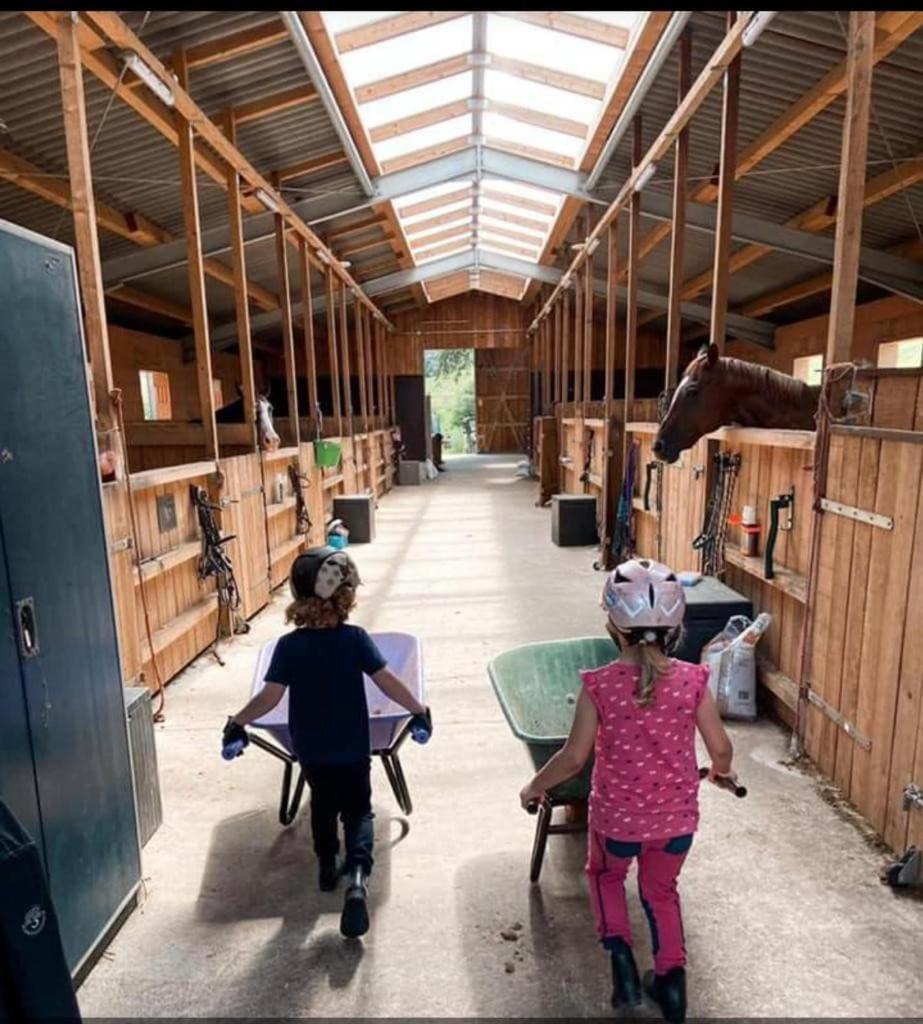Ferienwohnung Beim Pferdehof Neuenstein  Luaran gambar